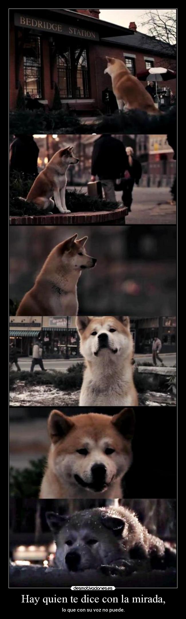 Hay quien te dice con la mirada, - 