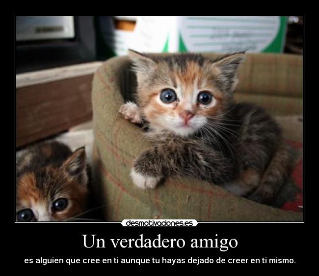 Un verdadero amigo -