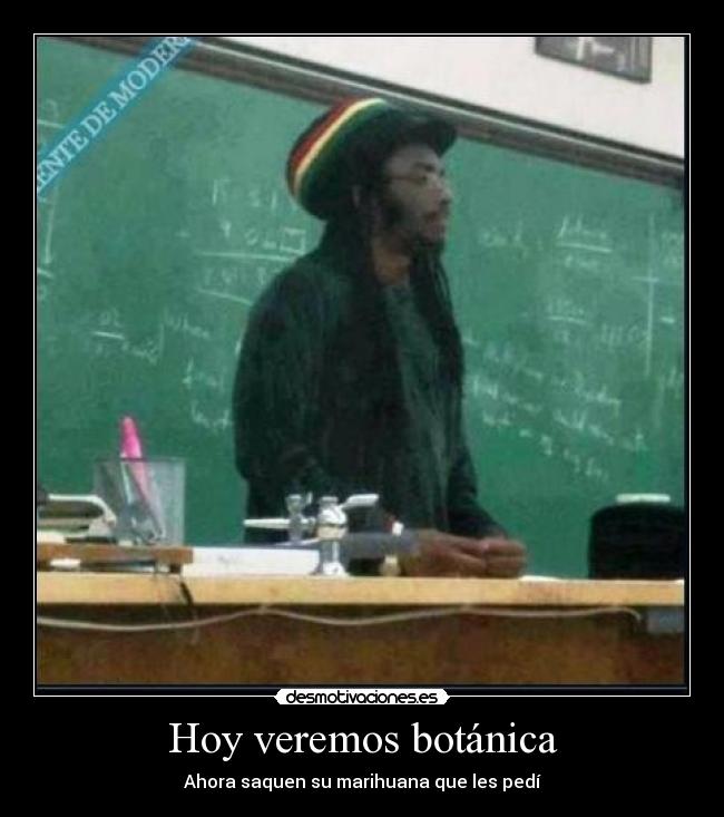 Hoy veremos botánica - 