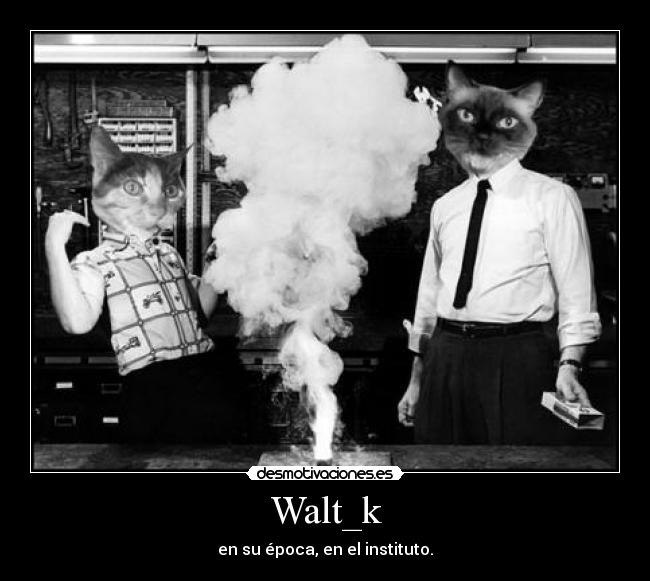 Walt_k -