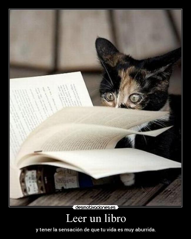 carteles miaouuuuuu desmotivaciones