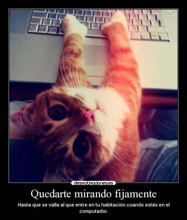 carteles cat computer games desmotivaciones