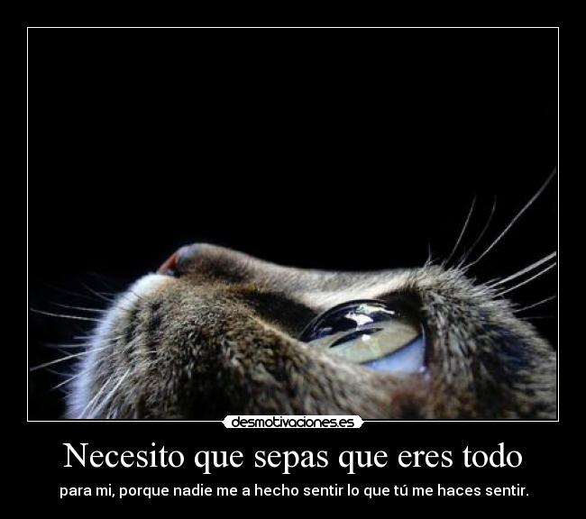 Necesito que sepas que eres todo -