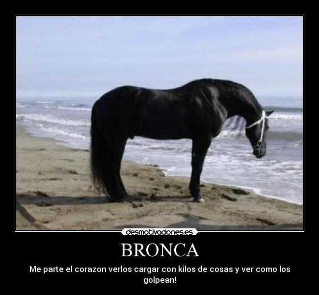 BRONCA - 