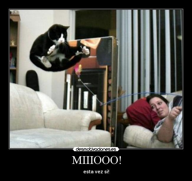 MIIIOOO! - esta vez si!