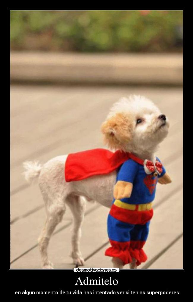 Admítelo - en algún momento de tu vida has intentado ver si tenías superpoderes