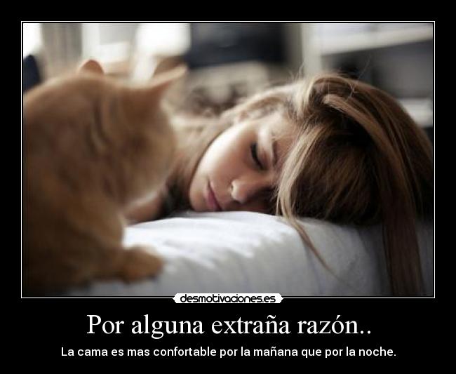 Por alguna extraña razón.. - La cama es mas confortable por la mañana que por la noche.