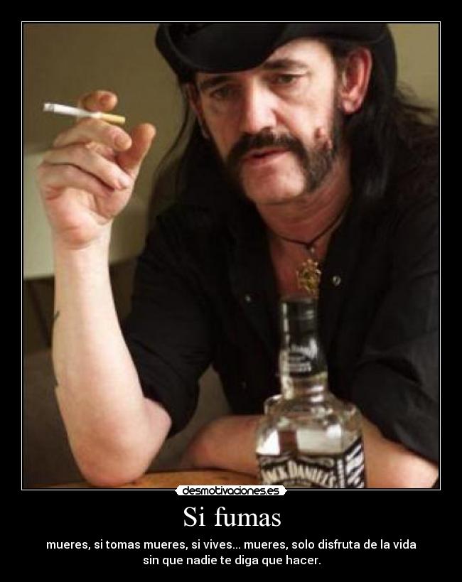 Si fumas - mueres, si tomas mueres, si vives... mueres, solo disfruta de la vida
sin que nadie te diga que hacer.
