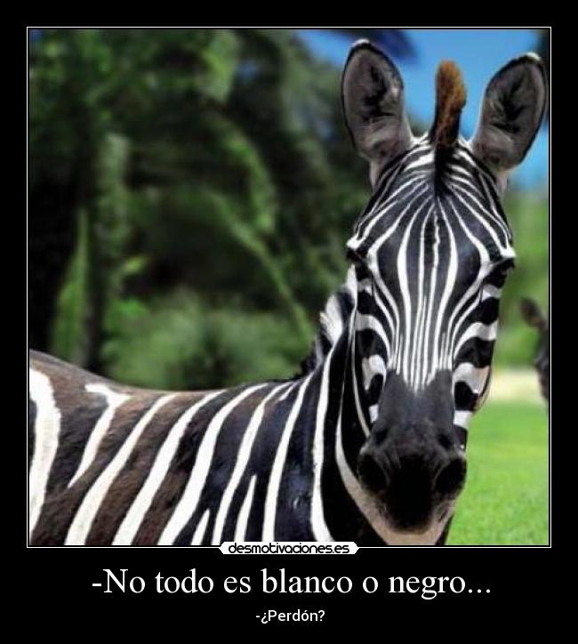 -No todo es blanco o negro... - -¿Perdón?