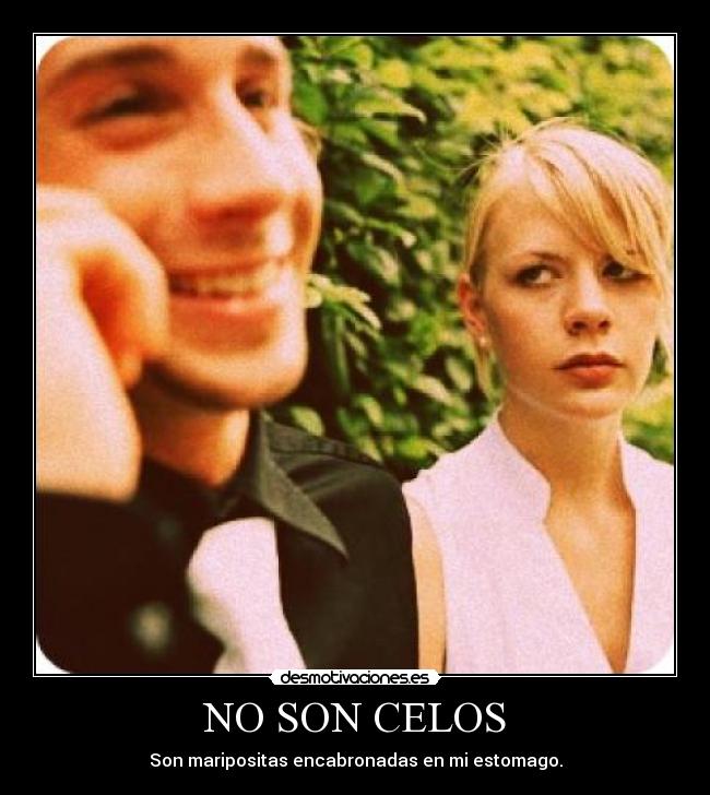 NO SON CELOS - 