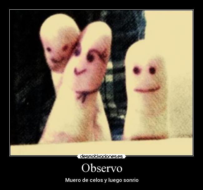 Observo -