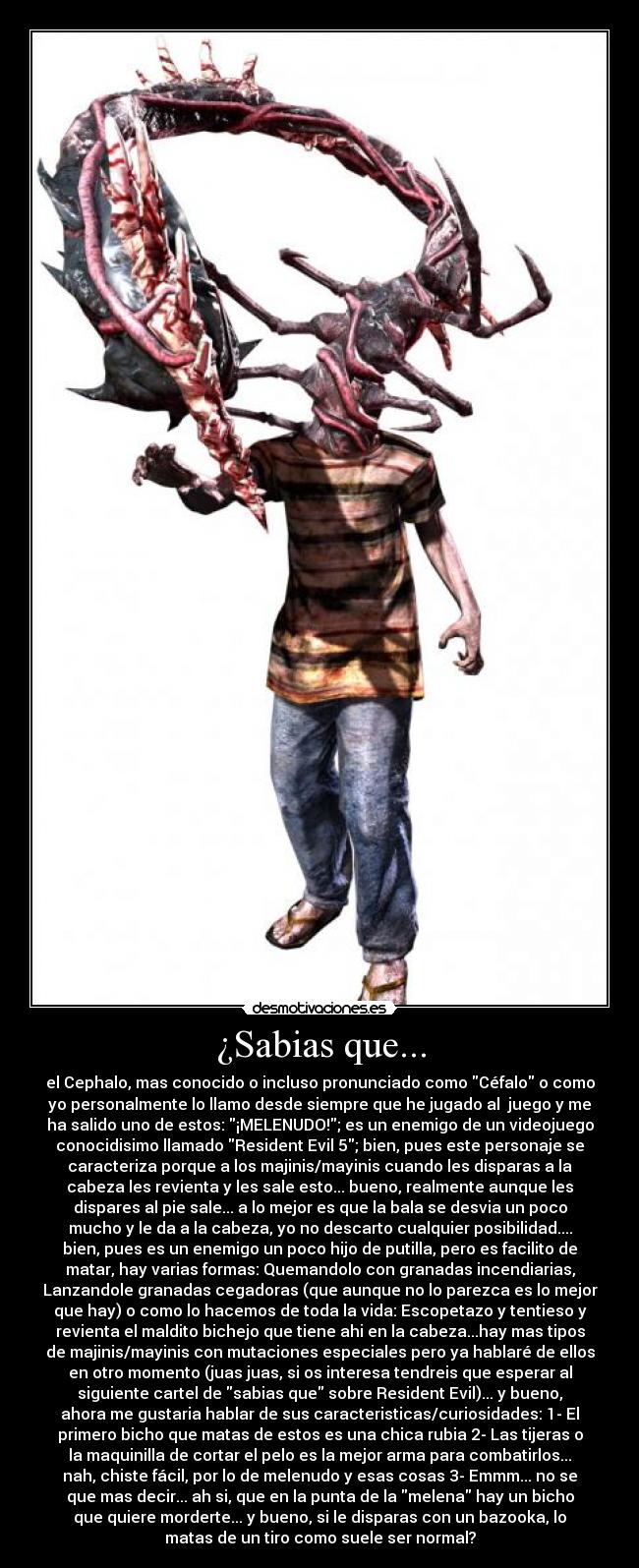 ¿Sabias que... - el Cephalo, mas conocido o incluso pronunciado como Céfalo o como
yo personalmente lo llamo desde siempre que he jugado al juego y me
ha salido uno de estos: ¡MELENUDO!; es un enemigo de un videojuego
conocidisimo llamado Resident Evil 5; bien, pues este personaje se
caracteriza porque a los majinis/mayinis cuando les disparas a la
cabeza les revienta y les sale esto... bueno, realmente aunque les
dispares al pie sale... a lo mejor es que la bala se desvia un poco
mucho y le da a la cabeza, yo no descarto cualquier posibilidad....
bien, pues es un enemigo un poco hijo de putilla, pero es facilito de
matar, hay varias formas: Quemandolo con granadas incendiarias,
Lanzandole granadas cegadoras (que aunque no lo parezca es lo mejor
que hay) o como lo hacemos de toda la vida: Escopetazo y tentieso y
revienta el maldito bichejo que tiene ahi en la cabeza...hay mas tipos
de majinis/mayinis con mutaciones especiales pero ya hablaré de ellos
en otro momento (juas juas, si os interesa tendreis que esperar al
siguiente cartel de sabias que sobre Resident Evil)... y bueno,
ahora me gustaria hablar de sus caracteristicas/curiosidades: 1- El
primero bicho que matas de estos es una chica rubia 2- Las tijeras o
la maquinilla de cortar el pelo es la mejor arma para combatirlos...
nah, chiste fácil, por lo de melenudo y esas cosas 3- Emmm... no se
que mas decir... ah si, que en la punta de la melena hay un bicho
que quiere morderte... y bueno, si le disparas con un bazooka, lo
matas de un tiro como suele ser normal?