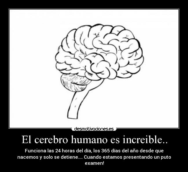 El cerebro humano es increible.. -