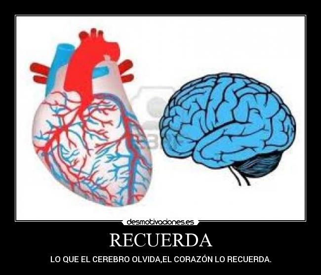 RECUERDA - LO QUE EL CEREBRO OLVIDA,EL CORAZÓN LO RECUERDA.