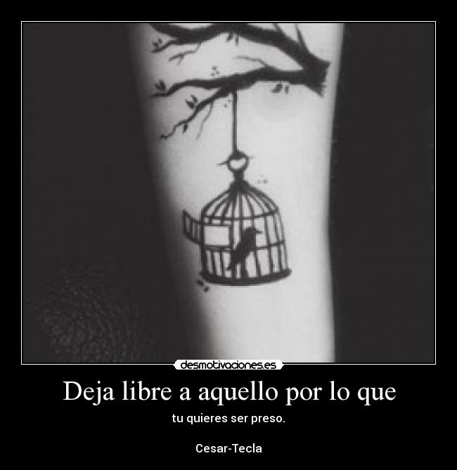 Deja libre a aquello por lo que - tu quieres ser preso.

Cesar-Tecla