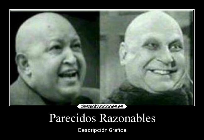 Parecidos Razonables - 