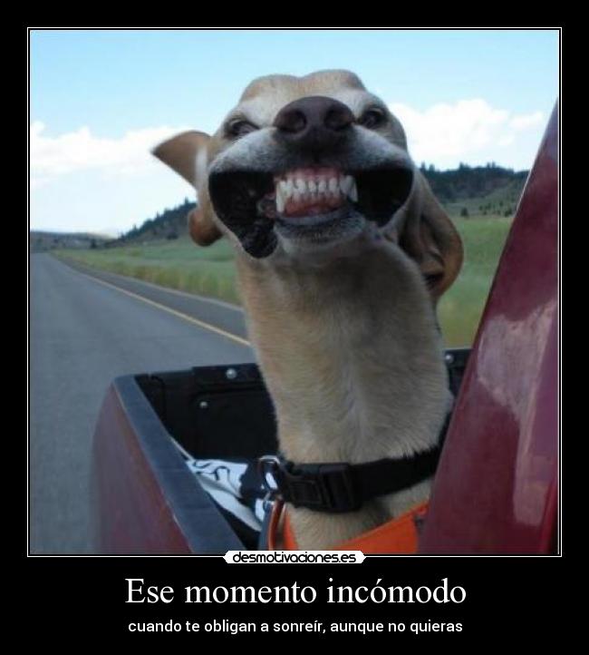 carteles soy del clannayade pero subo este cartel para joder rato desmotivaciones