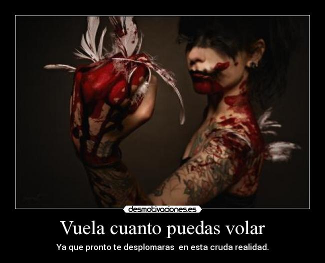Vuela cuanto puedas volar - 