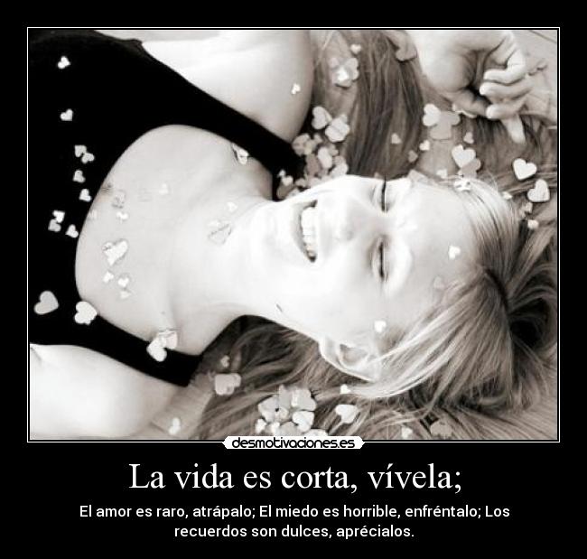 La vida es corta, vívela; - El amor es raro, atrápalo; El miedo es horrible, enfréntalo; Los
recuerdos son dulces, aprécialos.