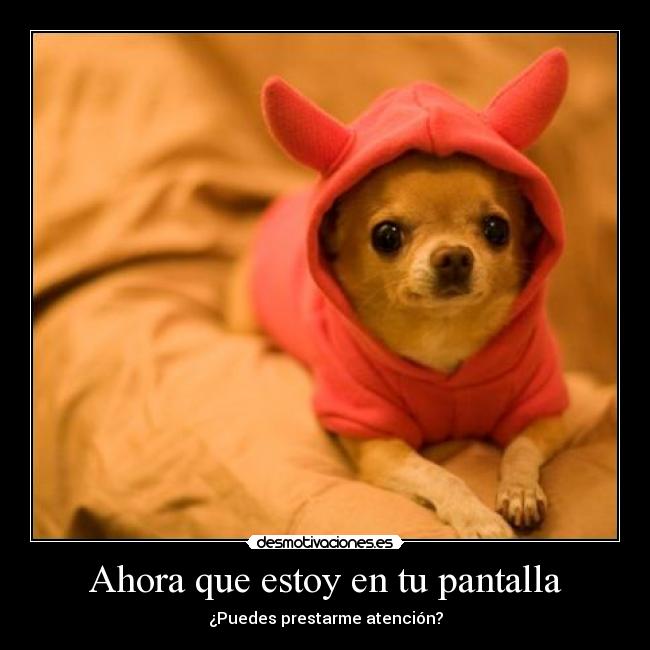 Ahora que estoy en tu pantalla -