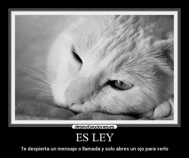 ES LEY -