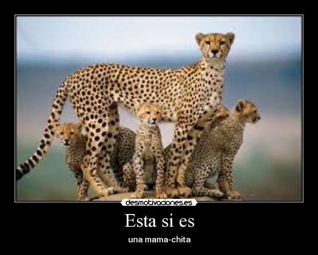 Imágenes y Carteles de CHITA Desmotivaciones