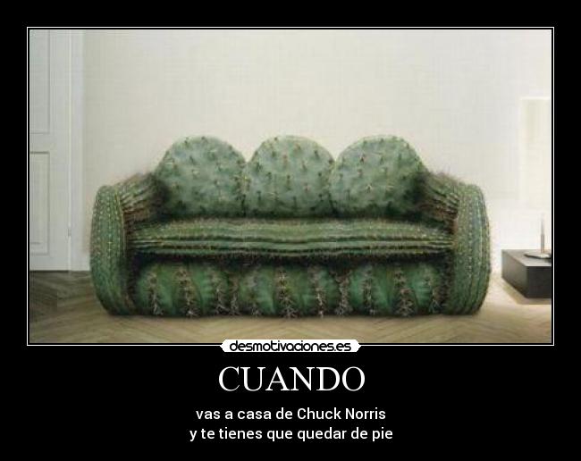 CUANDO - vas a casa de Chuck Norris
y te tienes que quedar de pie