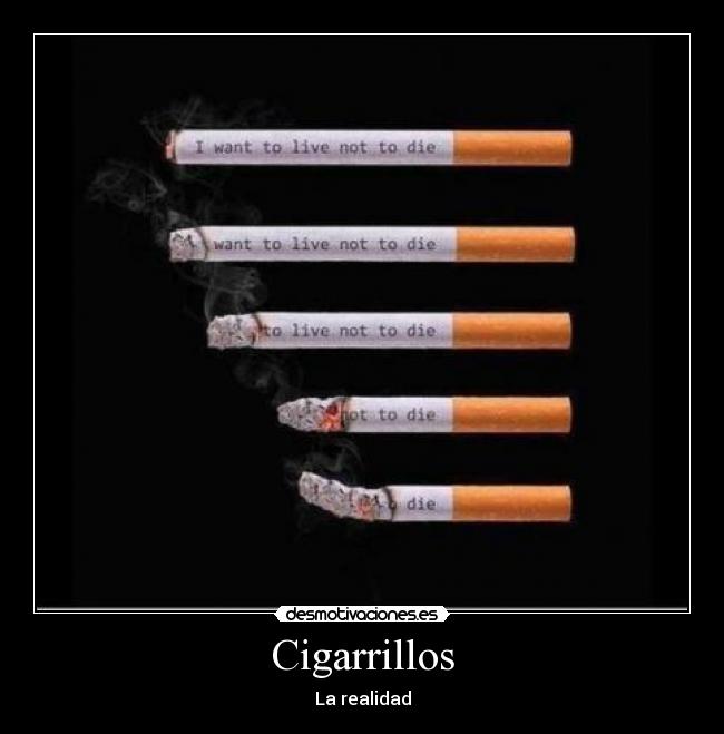 Cigarrillos - La realidad