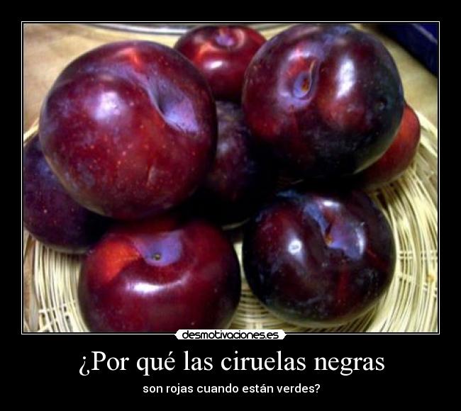 carteles ciruelas desmotivaciones