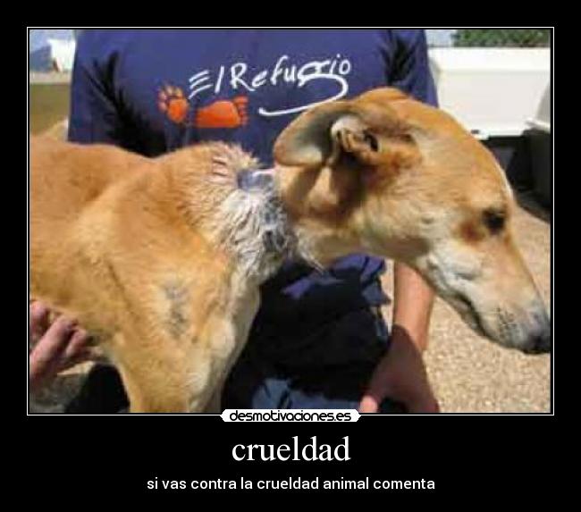 carteles 123 desmotivaciones