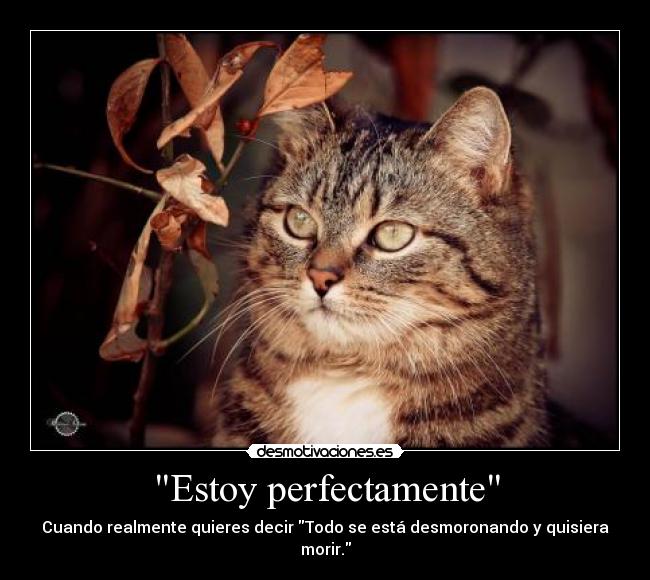 Estoy perfectamente - Cuando realmente quieres decir Todo se está desmoronando y quisiera morir.