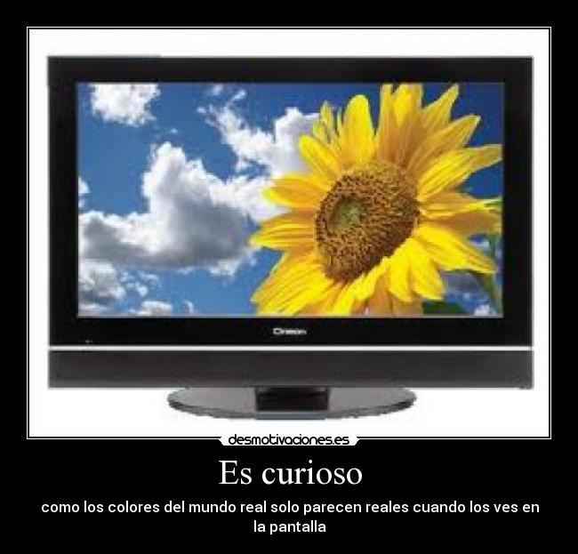 Es curioso - como los colores del mundo real solo parecen reales cuando los ves en la pantalla