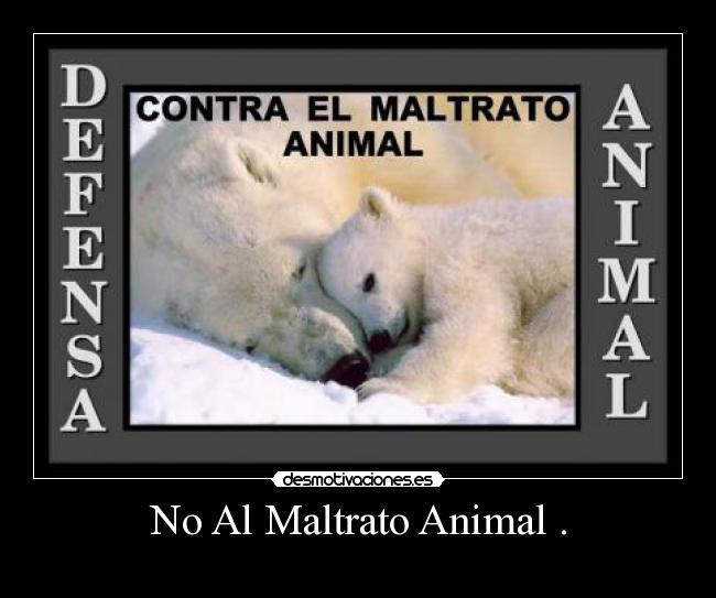 No Al Maltrato Animal . - 