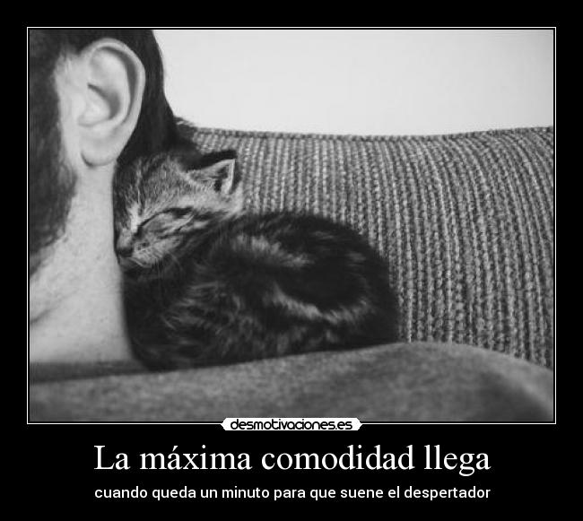 La máxima comodidad llega -