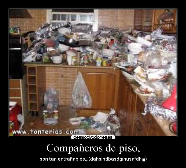 Compañeros de piso, - son tan entrañables...(dahsihdbasdgihusafdh¡¡¡)