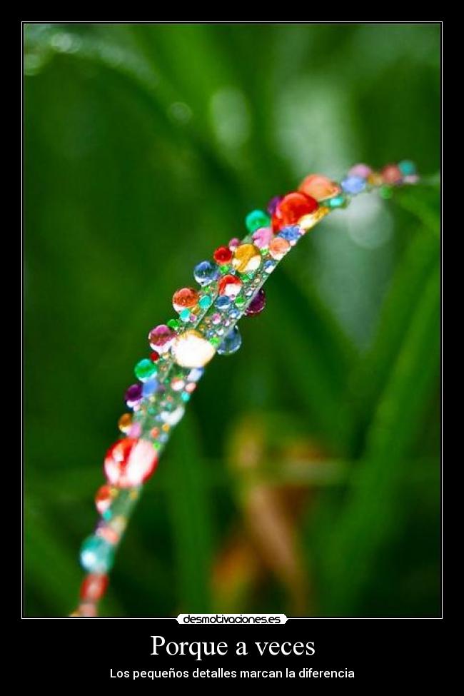 Porque a veces -