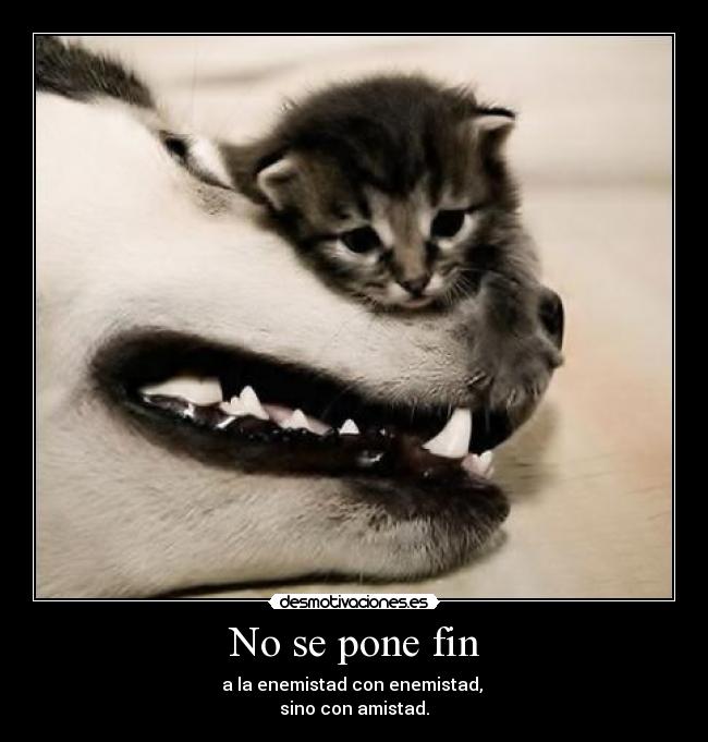 No se pone fin -