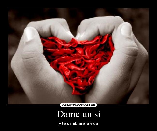 Dame un sí -