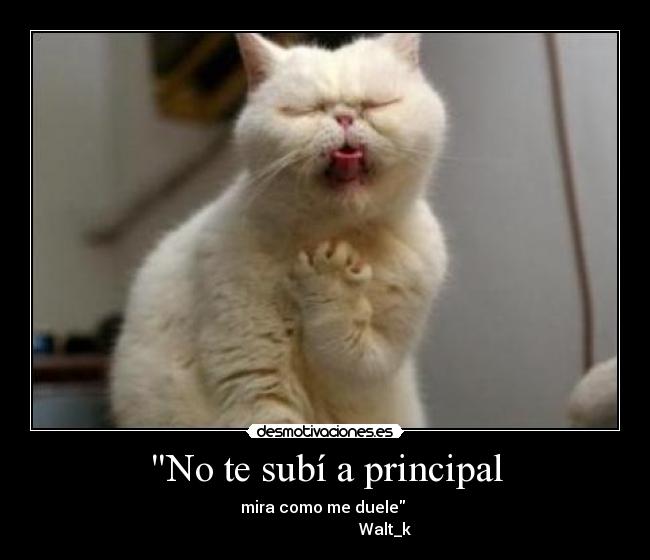 No te subí a principal - mira como me duele 
                              Walt_k