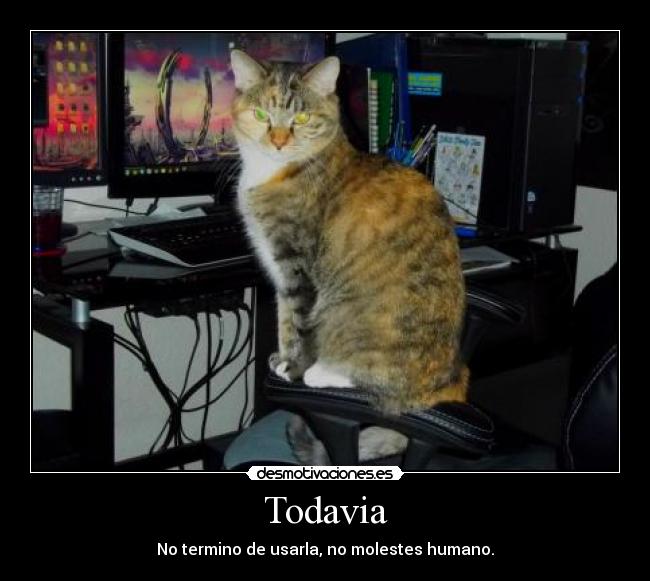 Todavia - No termino de usarla, no molestes humano.