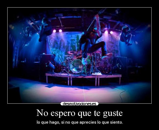 No espero que te guste - lo que hago, si no que aprecies lo que siento.