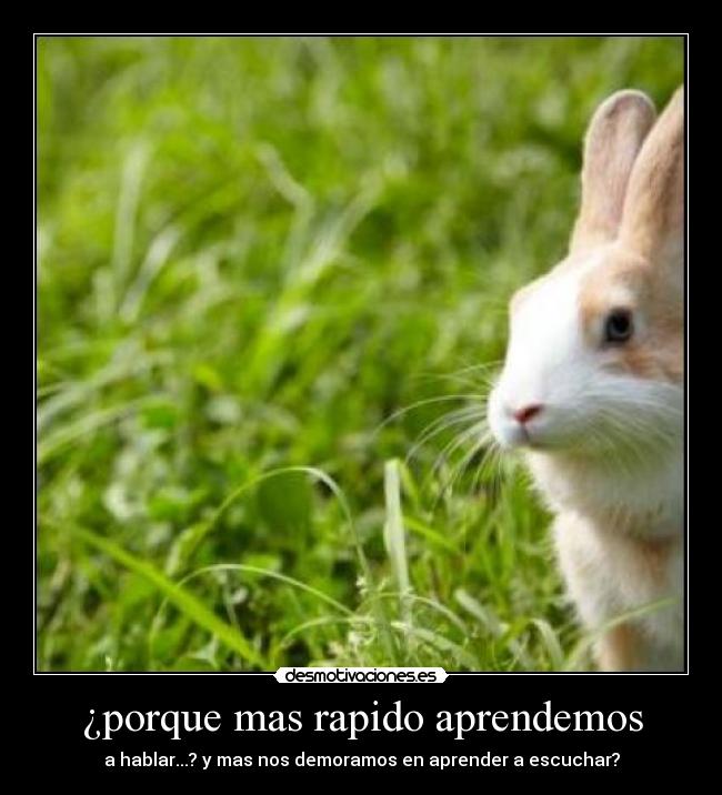 ¿porque mas rapido aprendemos -