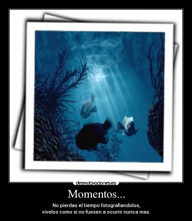 carteles momentos desmotivaciones