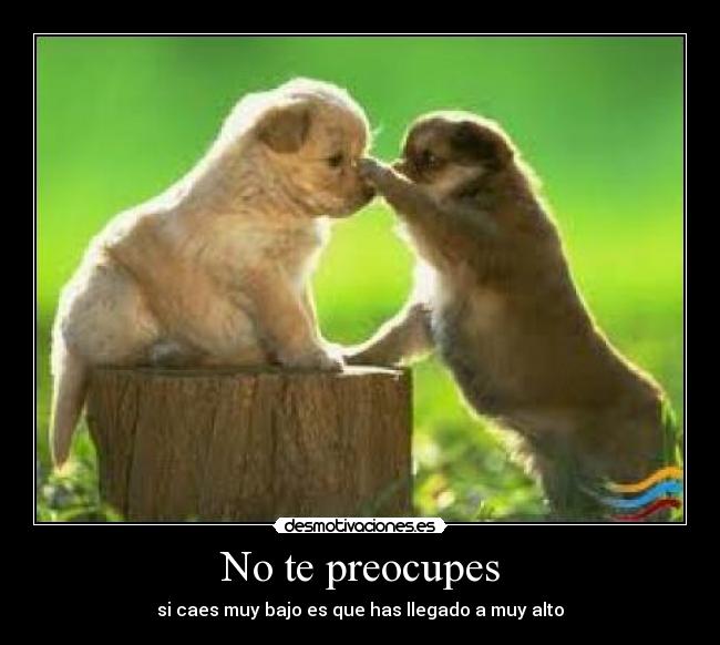 No te preocupes -