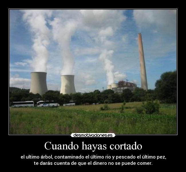 carteles amorchikito contaminacion que triste desmotivaciones