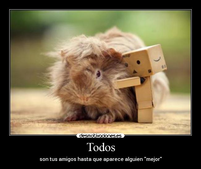 Usuario Trici15 Desmotivaciones Usuario Trici15 Desmotivaciones