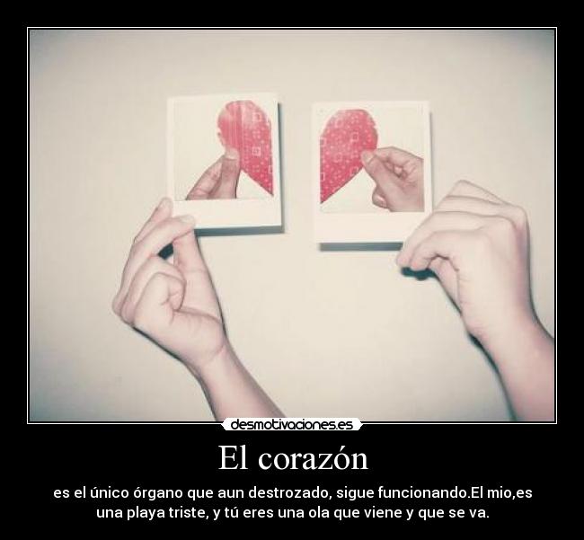 El corazón - es el único órgano que aun destrozado, sigue funcionando.El mio,es
una playa triste, y tú eres una ola que viene y que se va.