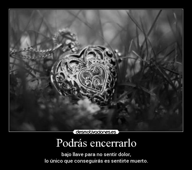 carteles dreadk mola jaja amor todo ahora voy por pan con jamon desmotivaciones