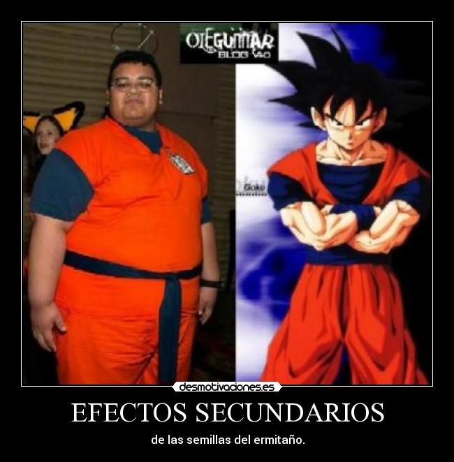 EFECTOS SECUNDARIOS - de las semillas del ermitaño.