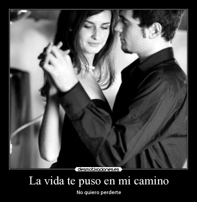La vida te puso en mi camino - No quiero perderte